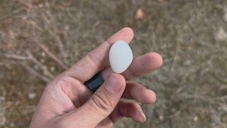 职业挖玉人总得要留一点品质顶级的和田玉籽料给自己家里人了,总以为